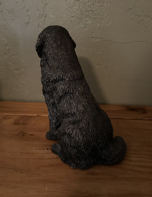 image2 (23)